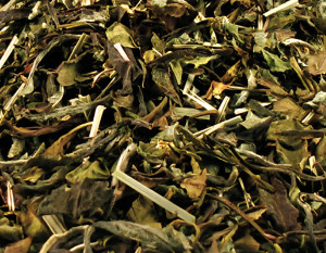 Tranquil Herbaceous Medley Tea (Lemon & Rosemary White Tea Blend)